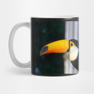 yellow hornbill Mug